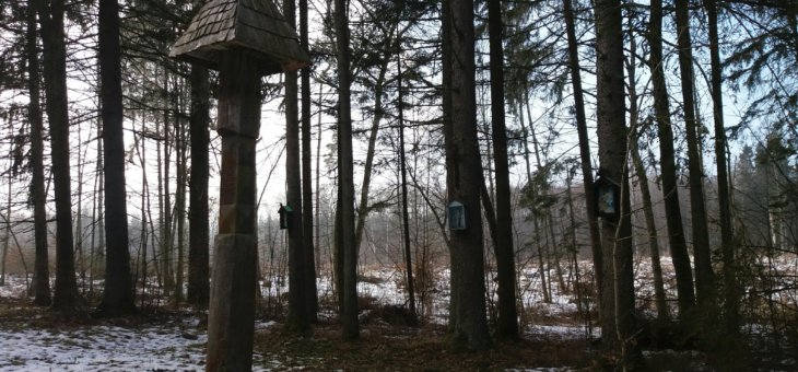 Zbiorowy grób powstańców styczniowych między Staciszkami a Mackańcami