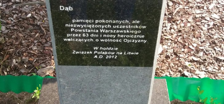 Dąb i stela pamięci uczestników Powstania Warszawskiego