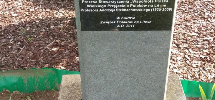 Dąb i stela pamięci prof. A. Stelmachowskiego