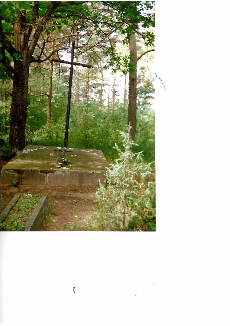 Krzyż i cmentarz Polaków, żołnierzy armii carskiej, poległych w 1914 r. pod Druskienikami